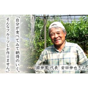 ふるさと納税 熊本県玉東町産『緑伸園』の秋麗梨...の詳細画像2