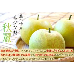 ふるさと納税 熊本県玉東町産『緑伸園』の秋麗梨...の詳細画像3