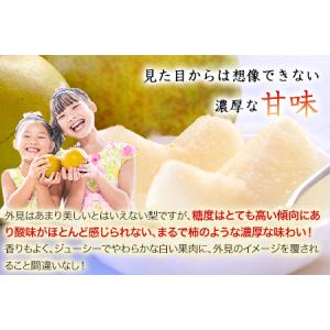 ふるさと納税 熊本県玉東町産『緑伸園』の秋麗梨...の詳細画像4