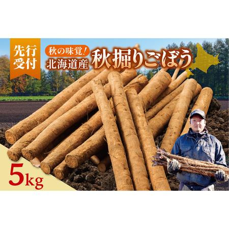 ふるさと納税 北海道十勝清水町産 秋堀りごぼう 5kg【2026年秋発送予定】牛蒡 ゴボウ 北海道清...