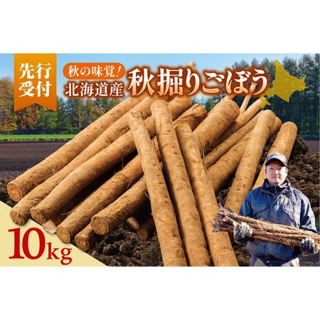 ふるさと納税 北海道十勝清水町産 秋堀りごぼう 10kg【2026年秋発送予定】牛蒡 ゴボウ 北海道...