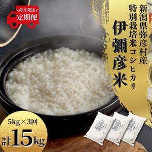 ふるさと納税 コシヒカリ 令和8年産 新米 先行...の商品画像
