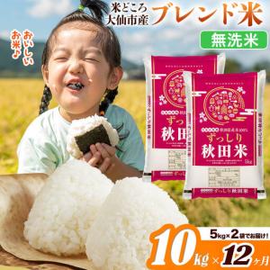 ふるさと納税 米《定期便12ヶ月》米どころ 秋田県大仙市産 ブレンド米【無洗米】10kg（5kg×2袋） 秋田県大仙市