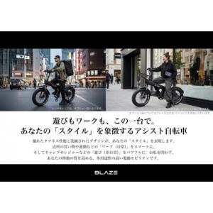 ふるさと納税 BLAZE スタイル e-バイク...の詳細画像1