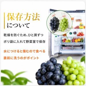 ふるさと納税 【先行予約】ブドウ詰め合わせ シ...の詳細画像2
