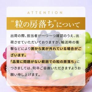 ふるさと納税 【先行予約】ブドウ詰め合わせ シ...の詳細画像3
