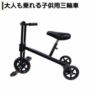 ふるさと納税 大人も乗れる子供用三輪車 レクリエーション【140S004】 新潟県三条市