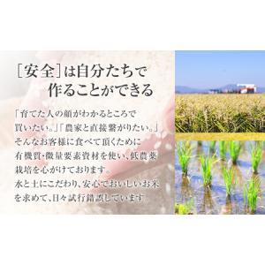 ふるさと納税 【36回定期便】白米 特A ゆめ...の詳細画像3