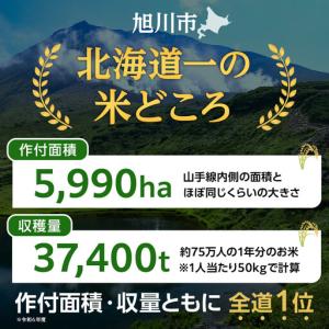 ふるさと納税 【36回定期便】白米 特A なな...の詳細画像1