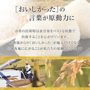 ふるさと納税 【36回定期便】白米 特A なな...の詳細画像3