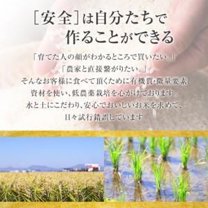 ふるさと納税 【36回定期便】白米 特A なな...の詳細画像4