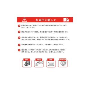 ふるさと納税 【開梱設置】PAZIO オープン...の詳細画像4