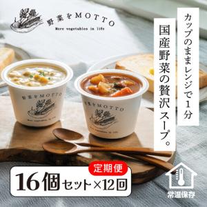 ふるさと納税 【定期便 全12回】レンジで1分 野菜をMOTTO スープ 16個 セット レトルト 静岡県静岡市