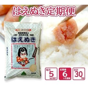 ふるさと納税 SH0067　【6回定期便】［精米］はえぬき　5kg×6回(計30kg) JS 山形県...