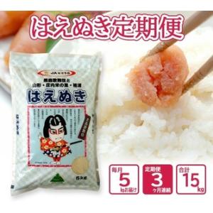 ふるさと納税 SE0583　【3回定期便】［精米］はえぬき　5kg×3回(計15kg) JS 山形県...