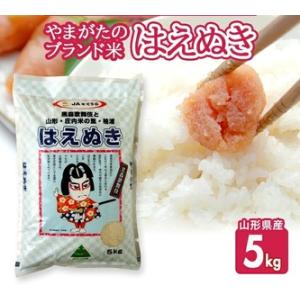 ふるさと納税 SA2939　令和7年産【精米】はえぬき　5kg(5kg×1袋) JS 山形県酒田市