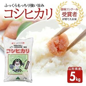 ふるさと納税 SA2938　令和7年産【精米】コシヒカリ　5kg(5kg×1袋) JS 山形県酒田市