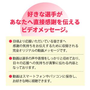 ふるさと納税 【PFUブルーキャッツ石川かほく...の詳細画像1