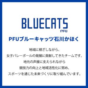 ふるさと納税 【PFUブルーキャッツ石川かほく...の詳細画像2