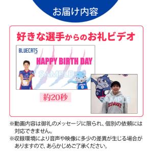 ふるさと納税 【PFUブルーキャッツ石川かほく...の詳細画像3