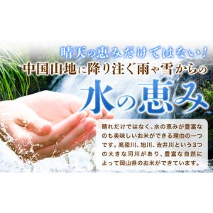 ふるさと納税 【12ヶ月定期便】晴れの国岡山の...の詳細画像2