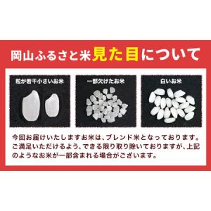 ふるさと納税 【12ヶ月定期便】晴れの国岡山の...の詳細画像3