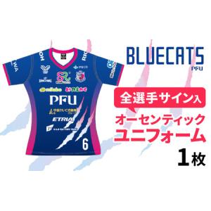 ふるさと納税 【PFUブルーキャッツ石川かほく】オーセンティックユニフォーム 1枚（全選手サイン入り）|ユニフォーム バレーボール 石川県かほく市