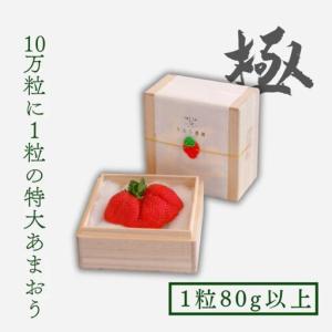 ふるさと納税 いちご 特大 あまおう 苺 「極」 1粒80g以上 いちご 福岡県朝倉市