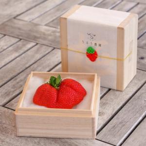 ふるさと納税 いちご 特大 あまおう 苺 「極...の詳細画像2