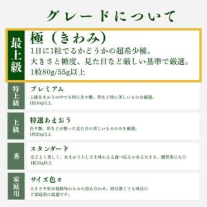 ふるさと納税 いちご 特大 あまおう 苺 「極...の詳細画像3