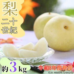 ふるさと納税 J33 【令和8年度発送先行予約品】【南信州産】20世紀梨 太鼓判 約3kg　8玉〜10玉 長野県喬木村