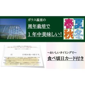 ふるさと納税 【メロン定期便】クラウンメロン ...の詳細画像3