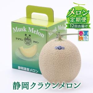 ふるさと納税 クラウンメロン 1玉 中玉 白等級 フルーツ メロン 静岡県森町