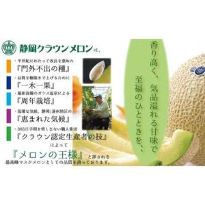 ふるさと納税 クラウンメロン 1玉 中玉 白等...の詳細画像2