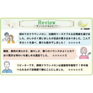 ふるさと納税 クラウンメロン 1玉 中玉 白等...の詳細画像4