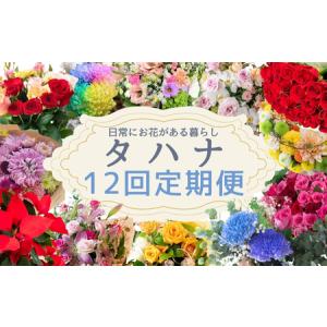 ふるさと納税 日常にお花がある暮らし タハナ 12回 定期便 フラワーアレンジメント 花 お花 花束 ブーケ 季節 ギフト お祝い 誕生日 記念日 ギフ.. 愛知県田原市
