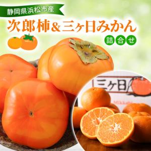 ふるさと納税 【2026年11月発送】 次郎柿＆三ヶ日みかん詰合せ 次郎柿9〜12個 約2.5Kg 三ケ日みかん 約3Kg M〜L 柿 かき みかん ミカン 蜜柑 セ.. 静岡県浜松市