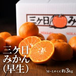 ふるさと納税 【2026年11月発送】 次郎柿...の詳細画像2
