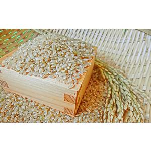 ふるさと納税 令和7年産 つや姫 玄米 順次発...の詳細画像1