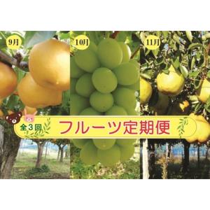 ふるさと納税 【定期便：全３回】アルコアーナ農園のフルーツ定期便Ｃコース（和梨、シャインマスカット、ラ・フランス）　0148-2606 山形県上山市