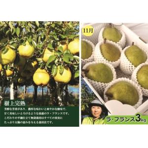 ふるさと納税 【定期便:全3回】アルコアーナ農...の詳細画像3