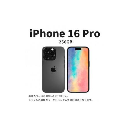 ふるさと納税 【ふるさと納税】【数量限定】 Apple iPhone 16 Pro 256GB SI...