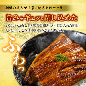 ふるさと納税 国産うなぎ!<うなぎ 国産 うな...の詳細画像1