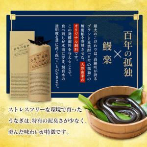 ふるさと納税 国産うなぎ!<うなぎ 国産 うな...の詳細画像2