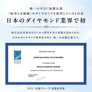 ふるさと納税 アルカンシェル K18YGダイヤ...の詳細画像4