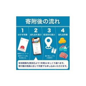 ふるさと納税 あとからセレクト 【ふるさとギフ...の詳細画像1