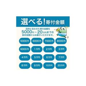 ふるさと納税 あとからセレクト 【ふるさとギフ...の詳細画像2