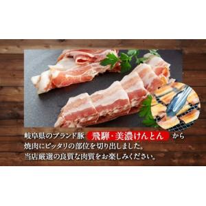 ふるさと納税 焼肉セット 飛騨・美濃けんとん ...の詳細画像1