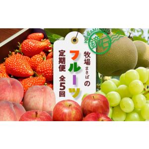 ふるさと納税 【2026年9月から発送開始】鏡石町 まきばのフルーツ定期便（桃約2kg・和梨約3kg・シャインマスカット2房・りんご約5kg・いちご約50.. 福島県鏡石町