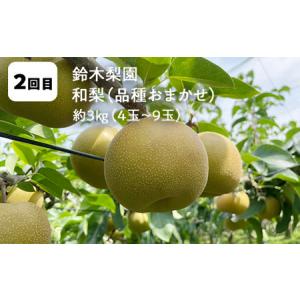 ふるさと納税 【2026年9月から発送開始】鏡...の詳細画像2